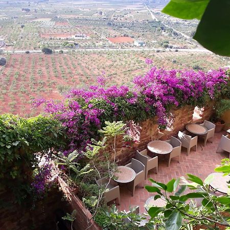 El Jardin Vertical Vilafamés Dış mekan fotoğraf