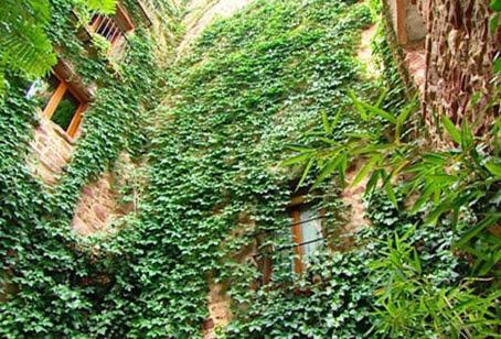 El Jardin Vertical Vilafamés Dış mekan fotoğraf